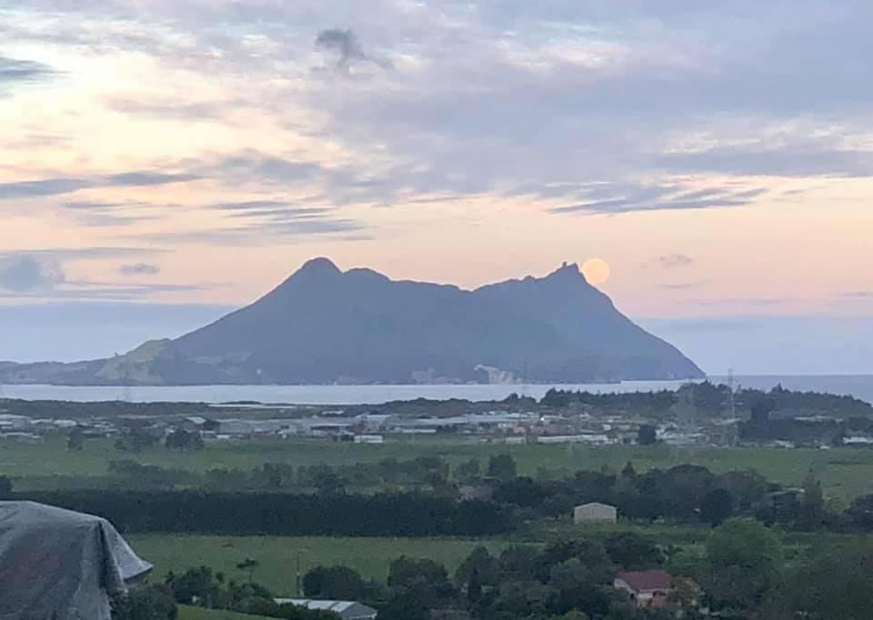 Moko Hiwi Escape - Kotare Suite Ruakaka Exteriér fotografie