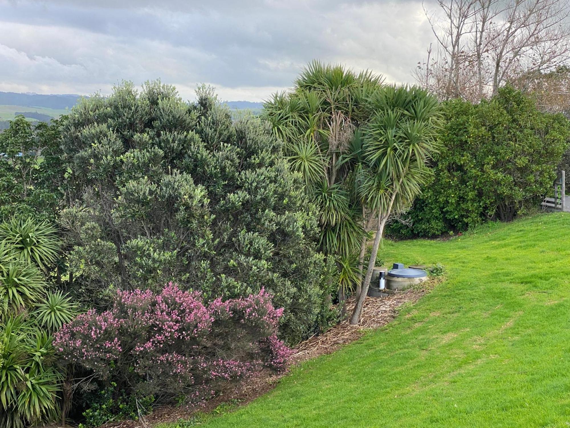 Moko Hiwi Escape - Kotare Suite Ruakaka Exteriér fotografie